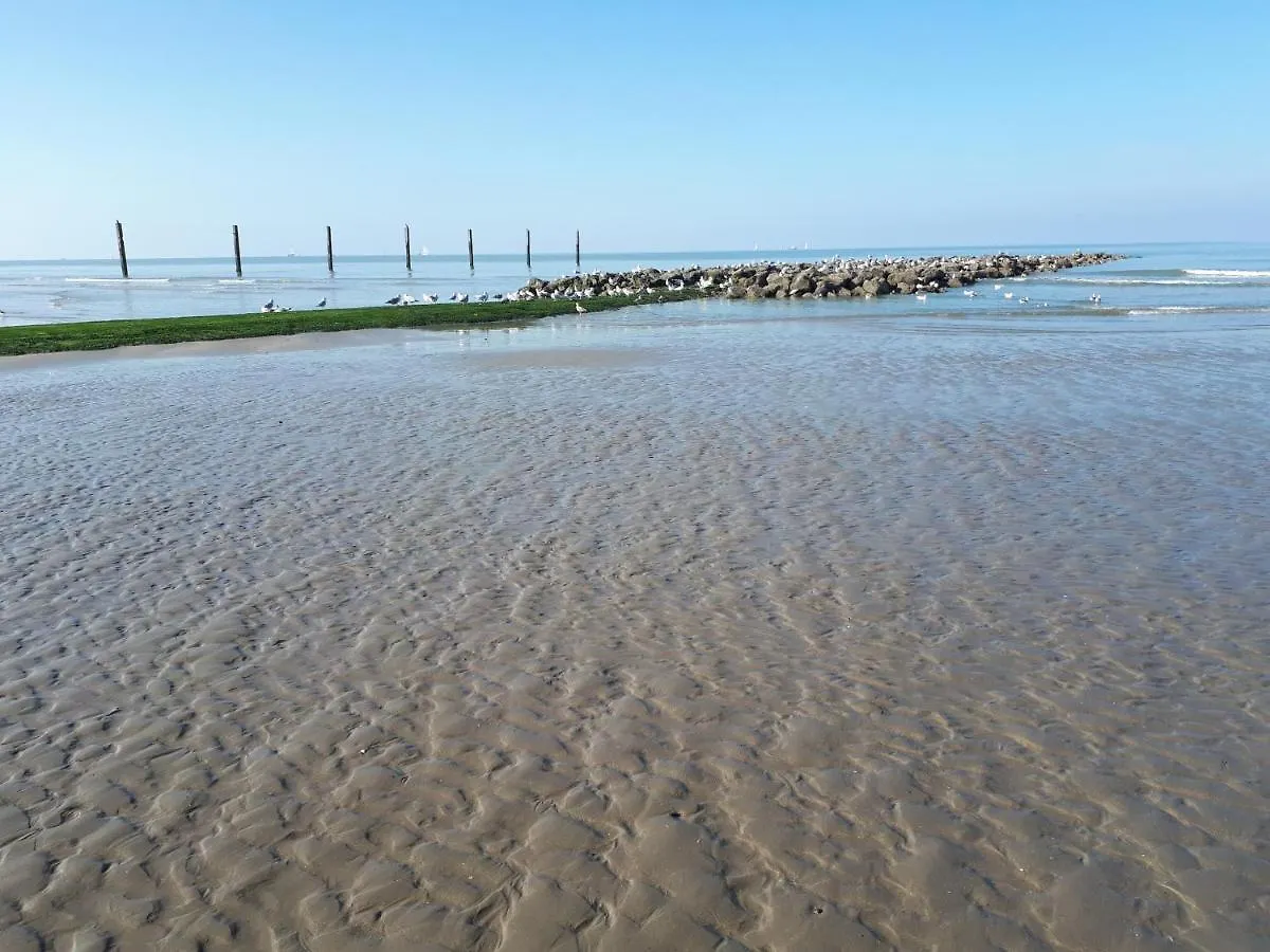 Apartment Charmant Appartement Met Frontaal Zeezicht Middelkerke