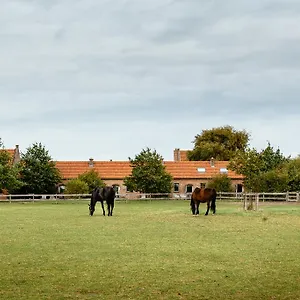  Hébergement de vacances Het Zwaluwnest